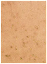 Depósitos de bronze de Lubricatin da bucha do RUÍDO 17662 de CUSN8P tolerância pesada envolvida do tamanho padrão da manutenção dos grandes